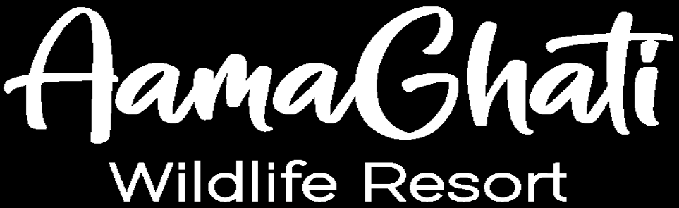 agency-supports-logo-6